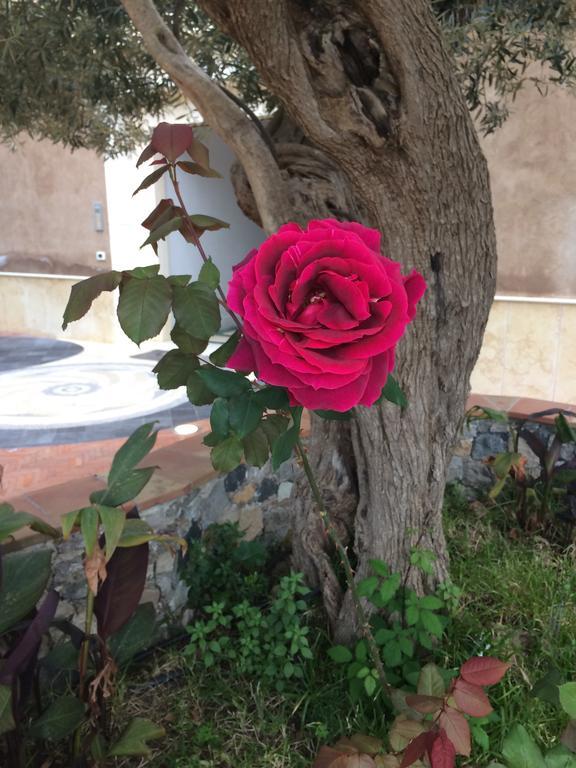 Medea Vacanze Aparthotel Taormina